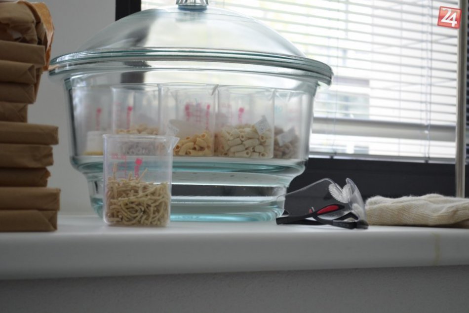 Ilustračný obrázok k článku Novinka na SPU v Nitre: Ako jediná na Slovensku má EIT Food Hub