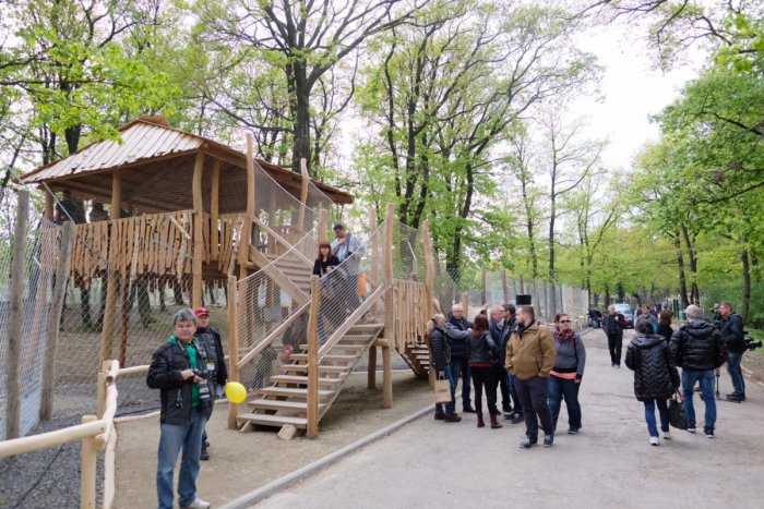 Ilustračný obrázok k článku Novinka v bratislavskej ZOO: Otvorili unikátny výbeh pre vlky