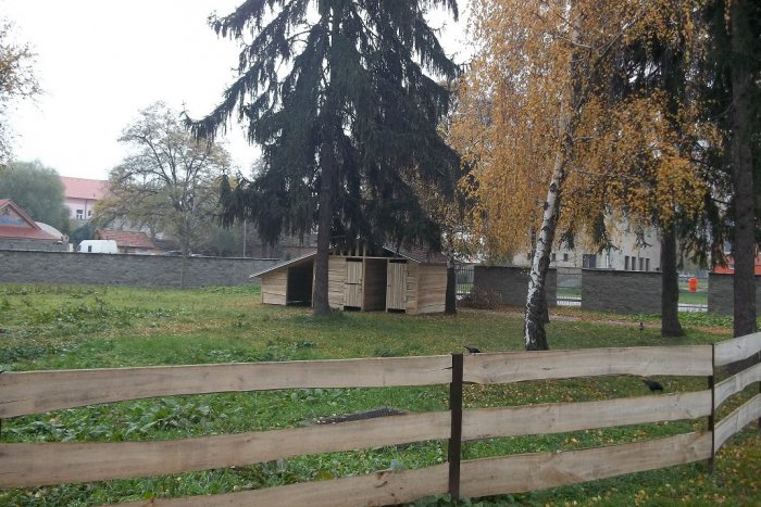 Ilustračný obrázok k článku Nemocničný park ožil: Pribudli živé zvieratká