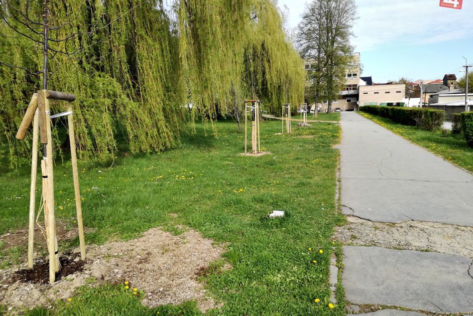 Ilustračný obrázok k článku Veľký park v Rožňave s veľkými zmenami: Pribudli stromy, čo ešte pribudne? FOTO
