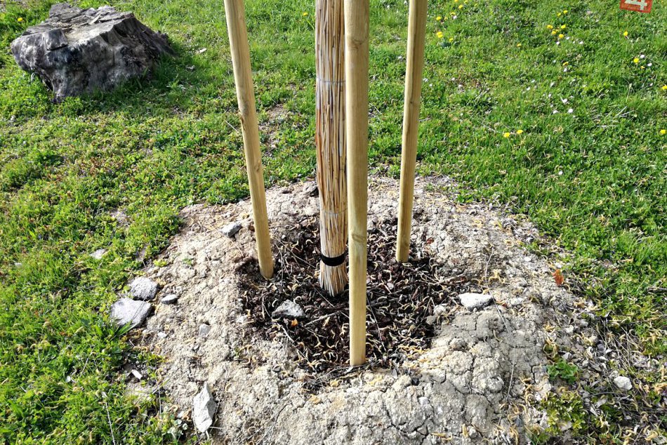 Ilustračný obrázok k článku V centre Košíc pribudnú fitnes prvky aj viac zelene: Chystá sa viacero zmien