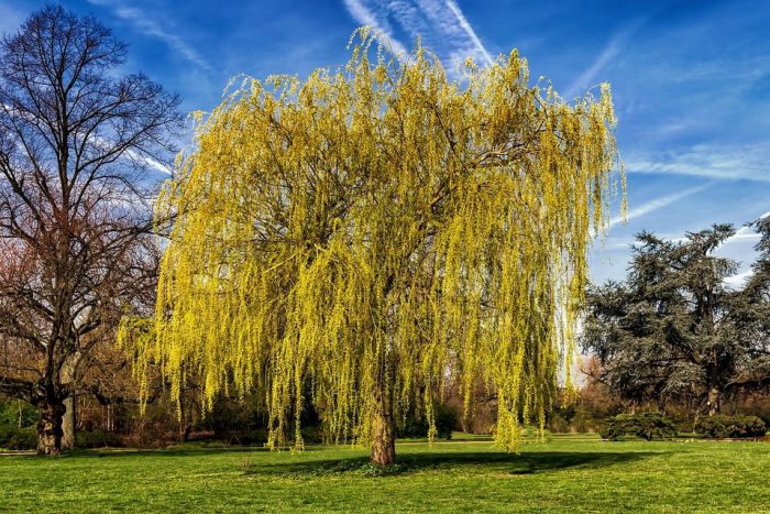 Ilustračný obrázok k článku Poznáme víťazku tohtoročnej Miss Drevina! Hlasovalo za ňu takmer 200 Bratislavčanov