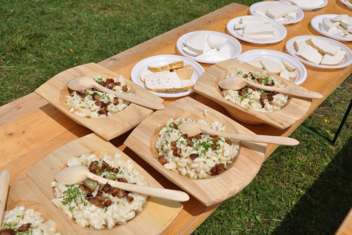 Ilustračný obrázok k článku Bryndza je naše biele zlato: Zdravá je vďaka ovčiemu mlieku a dobrým baktériám