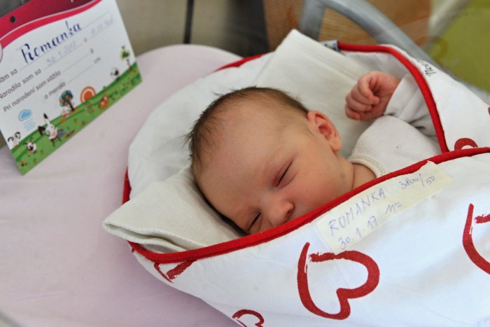 Ilustračný obrázok k článku Hniezda záchrany využilo od ich vzniku 58 matiek: Niektoré si deti vezmú späť