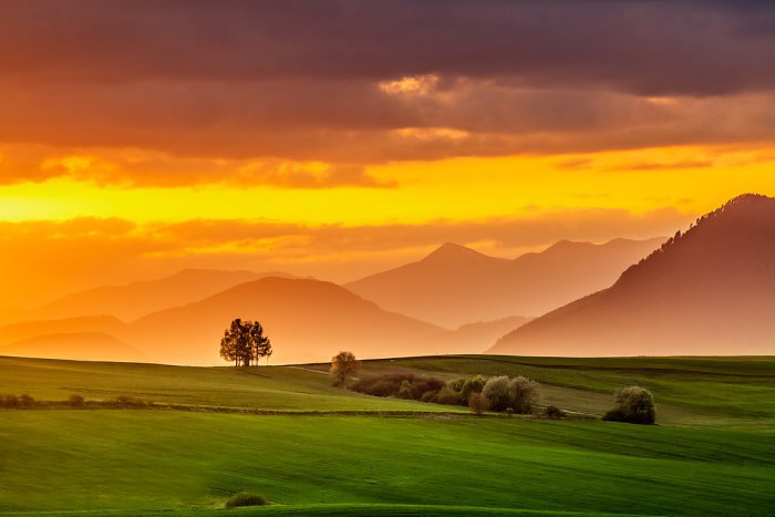 Ilustračný obrázok k článku Apríl v Mikuláši na krásnych fotkách: Zmeníte názor na bláznivý mesiac!