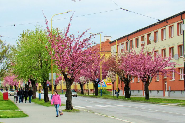 Ilustračný obrázok k článku Májové podujatia v Prešove budú pestré: Vyberte si z 20 akcií, kam sa pôjdete pozrieť
