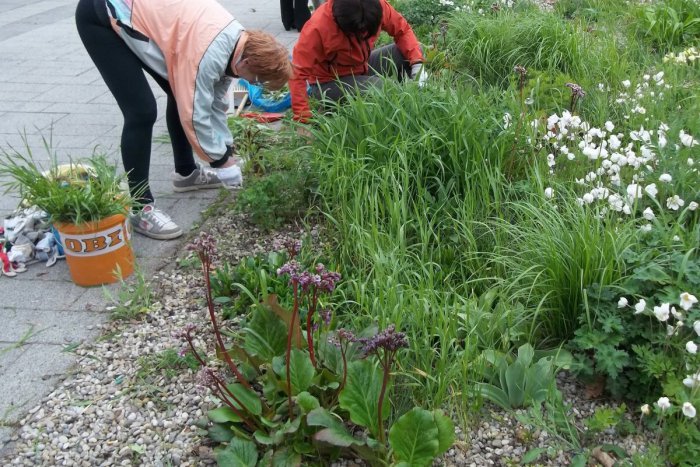 Ilustračný obrázok k článku Členovia OZ Petra Bošňáka skrášľovali: Vyčistili parčík pri kostole