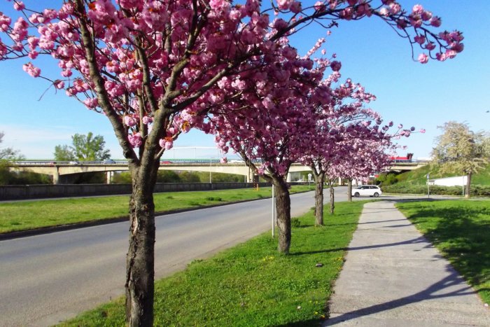 Ilustračný obrázok k článku Hlohovčania, predĺžený víkend je už tu: Tipy, kam sa oplatí vyraziť za relaxom