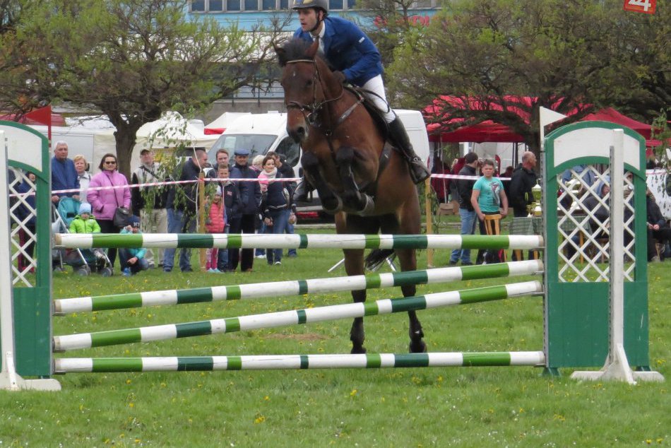 Ilustračný obrázok k článku Do Michaloviec zavítajú jazdci aj krásne kone: Preteky priamo v parku