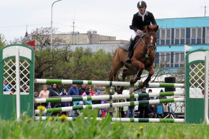 Ilustračný obrázok k článku Parádne preteky v michalovskom parku: Takto si to rozdali jazdci na koňoch, FOTO