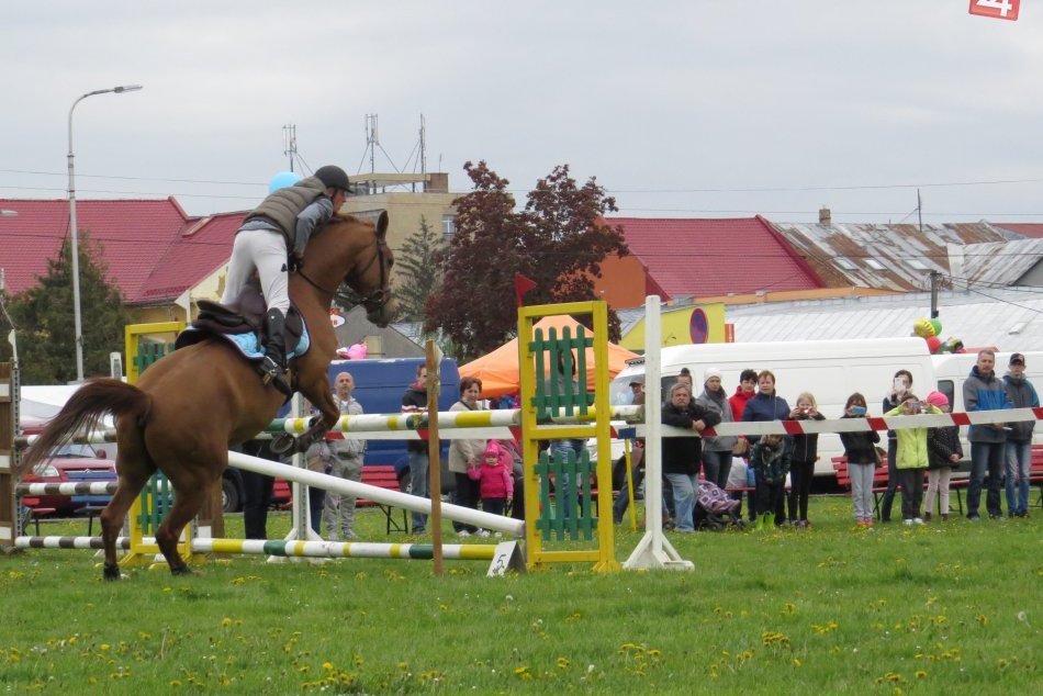 Ilustračný obrázok k článku Park študentov bude patriť jazdcom aj koňom: Chystajú sa tam tradičné preteky