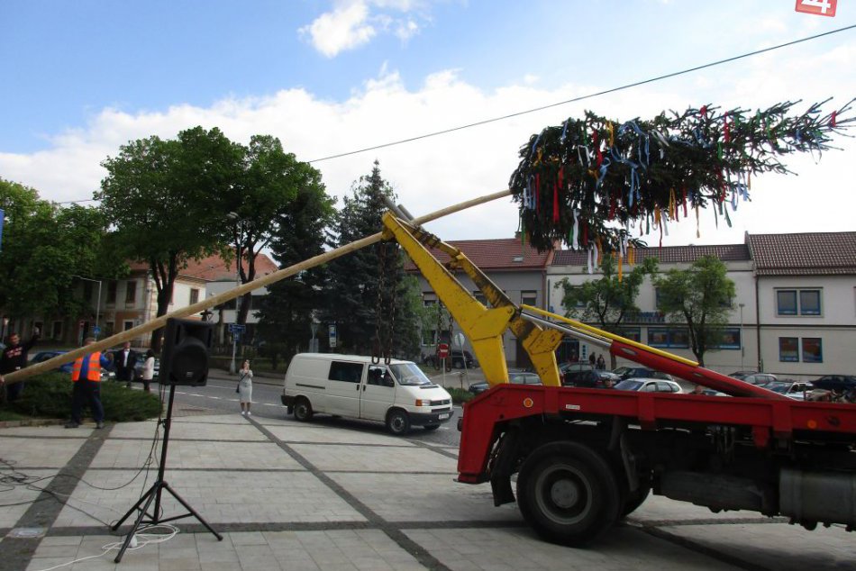 Ilustračný obrázok k článku Ľudová tradícia priamo v srdci nášho mesta: Pozrite si ZÁBERY zo stavania mája