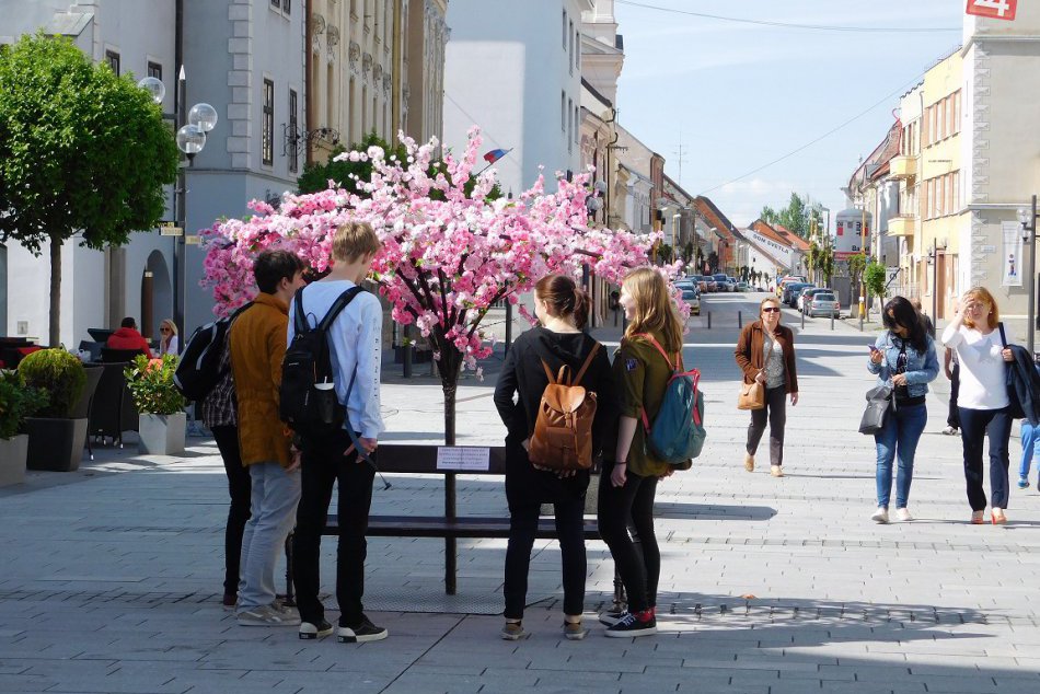 Ilustračný obrázok k článku Najvyťaženejšie trnavské ulice? 10 lokalít, kde žije najviac obyvateľov mesta