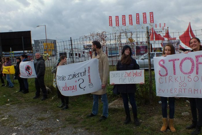 Ilustračný obrázok k článku V Bratislave sa bude opäť protestovať za cirkusy bez zvierat