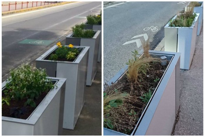 Ilustračný obrázok k článku FOTO: Kvetináče na Kamennom námestí pred rokom a dnes: Opäť žiadna sláva!