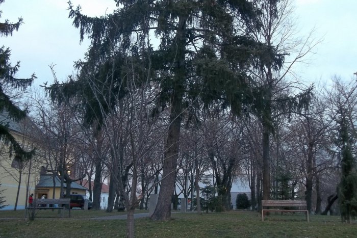 Ilustračný obrázok k článku Fotografi, berte foťáky do ruky: Môžete sa hlásiť do súťaže