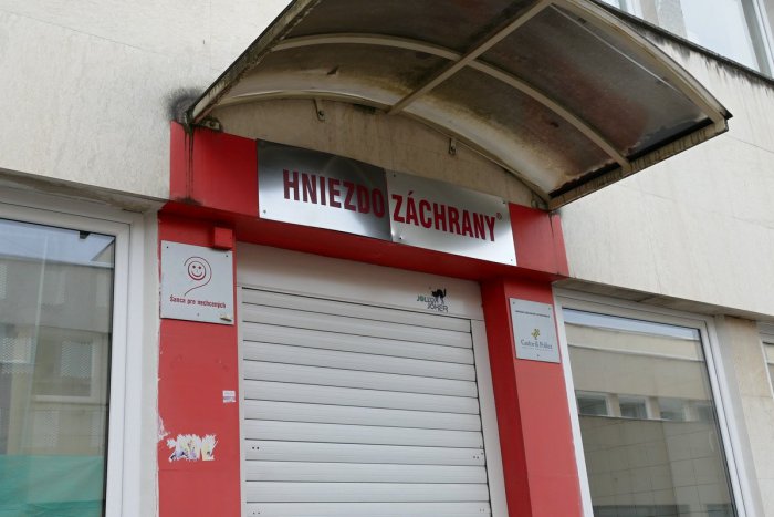 Ilustračný obrázok k článku Hniezda záchrany fungujú za pomoci druhých: Ročne v nich  matky odložia 4 deti