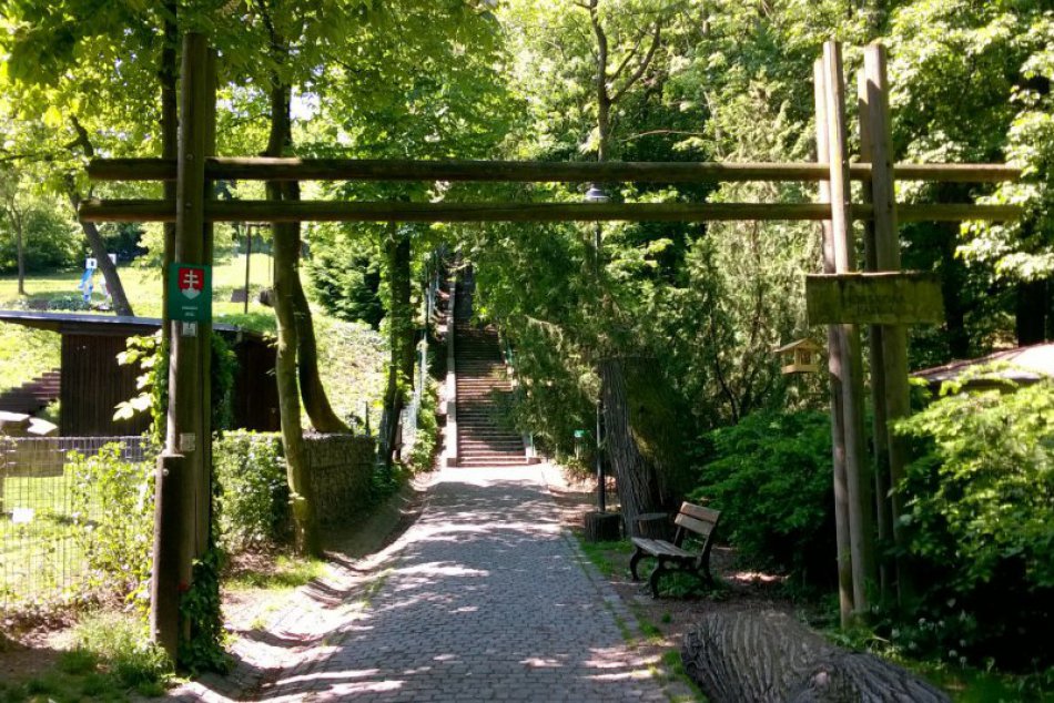 Ilustračný obrázok k článku Nadácia Horský park zháňa dobové fotografie a pohľadnice parku