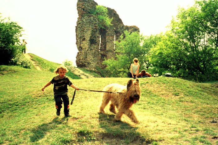 Ilustračný obrázok k článku Neviete, kam na výlet? Vyberte si niektorú z turistických trás v Malých Karpatoch