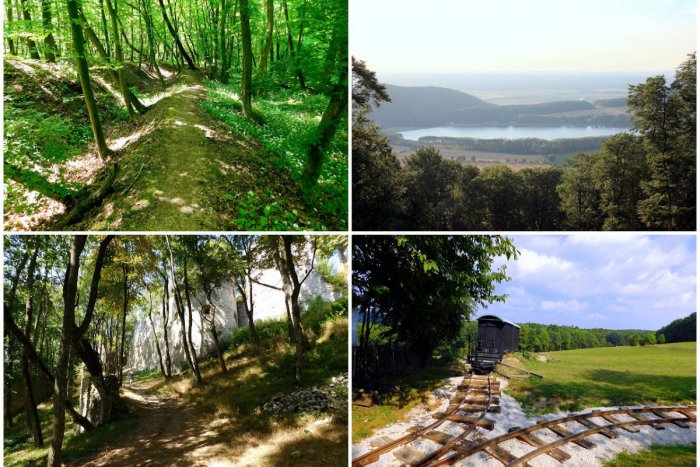 Ilustračný obrázok k článku Lesy v okolí Trnavy majú čo ponúknuť: 4 výlety, na ktoré budete dlho pamätať! FOTO