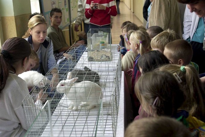 Ilustračný obrázok k článku SOŠ veterinárna v Nitre plánuje modernizovať: Opraviť chce laboratóriá a učebne