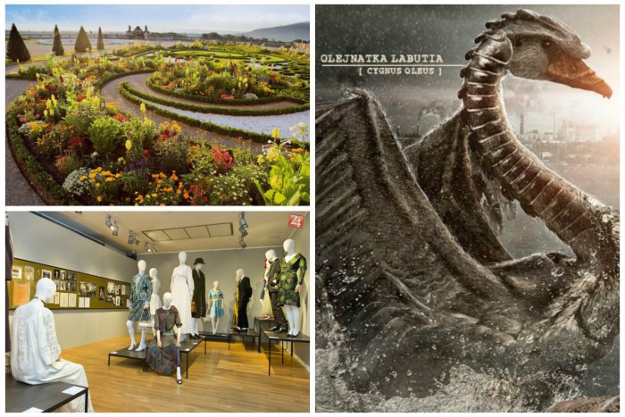 Ilustračný obrázok k článku TIPY NA TÝŽDEŇ: Filmy zdarma, architektúra aj prechádzka úchvatnou záhradou