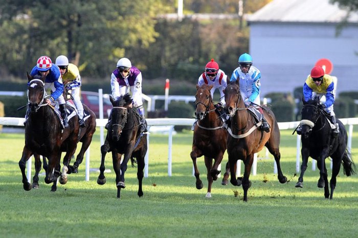 Ilustračný obrázok k článku Blíži sa dostihová sezóna 2018: Nadviaže stajňa v Šuranoch na historický úspech?