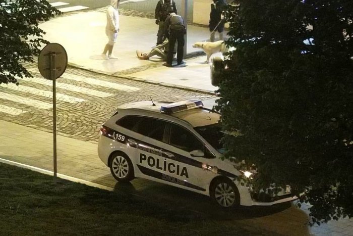 Ilustračný obrázok k článku FOTO: Do akcie vyrazili vďaka kamerám. Zvolenskí policajti v roli záchrancov