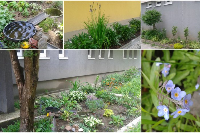 Ilustračný obrázok k článku FOTO: Breznianske predzáhradky hýria farbami. Krása spod rúk šikovných ľudí