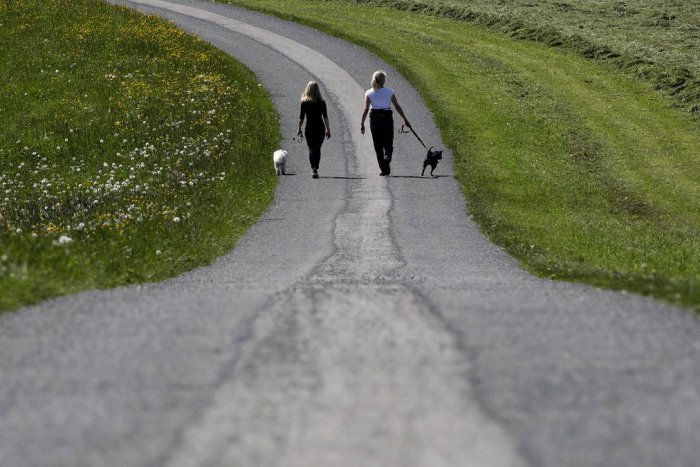 Ilustračný obrázok k článku RANNÁ ŠTVORKA: Koniec týždňa prinesie teploty do 22 °C, meniny má Dušan