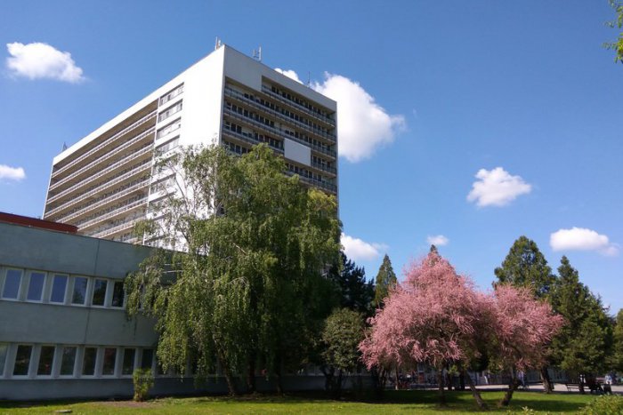 Ilustračný obrázok k článku Nemocnica v Zámkoch s ocenením: Špička v oblasti liečby mozgových príhod