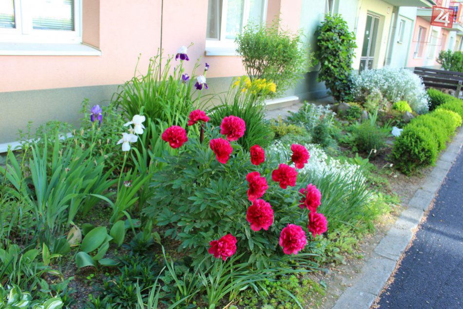 Ilustračný obrázok k článku Revúčania, nehanbite sa priznať: Hľadá sa najkrajšia záhrada, predzáhradka, balkón či terasa