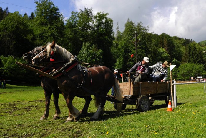 Ilustračný obrázok k článku Konským povozom na Zobor aj v lete: Zážitková jazda je novou atrakciou v Nitre!