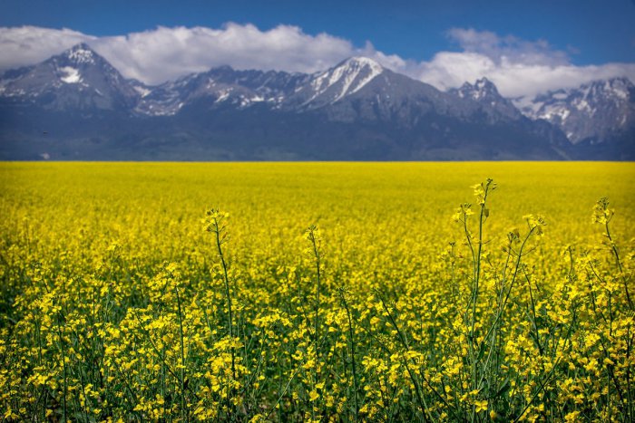 Ilustračný obrázok k článku RANNÁ ŠTVORKA: Čaká nás horúci deň s teplotami do 28 °C, meniny má Ferdinand