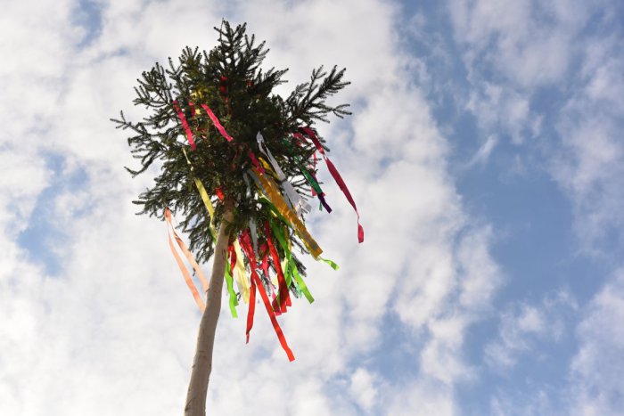 Ilustračný obrázok k článku Nenechajte si ujsť akciu plnú folklóru. Vo Zvolene sa chystá tradičné rúcanie mája