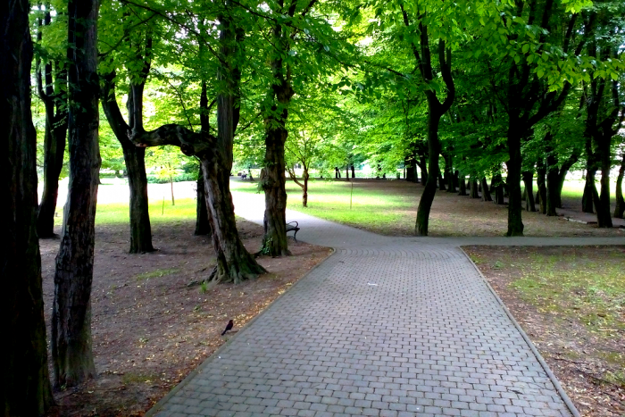 Ilustračný obrázok k článku Parky v Humennom sú nám známe... Ale toto o nich možno ani vy neviete!