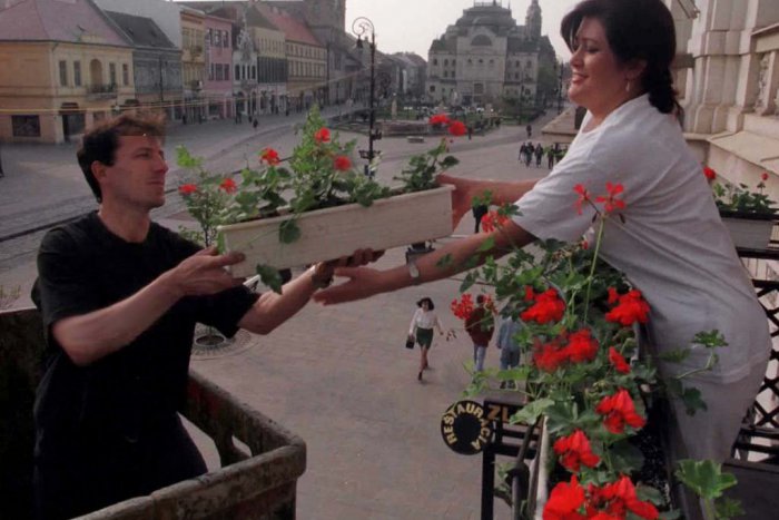 Ilustračný obrázok k článku Geneticky modifikované petúnie: Objavili sa aj na slovenskom trhu