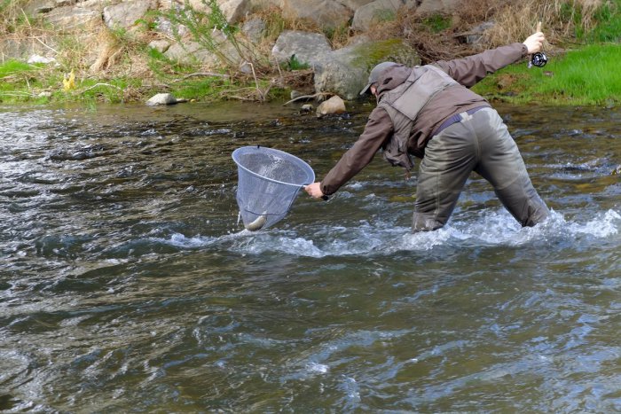 Ilustračný obrázok k článku Nový zákon o rybárstve: Dotkne sa používania návnad aj lovných praktík