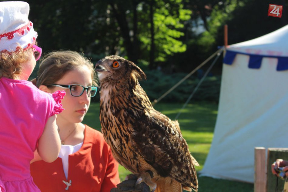 Ilustračný obrázok k článku Dúbravka obnovila ďalšie detské ihrisko, otvorí ho hrou