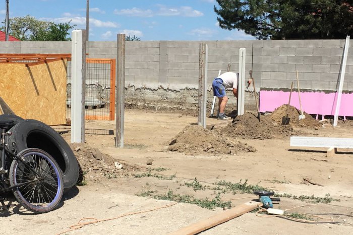 Ilustračný obrázok k článku Vzniká miesto pre opustené mačky a psíkov: Starajú sa o nich Mačací anjeli