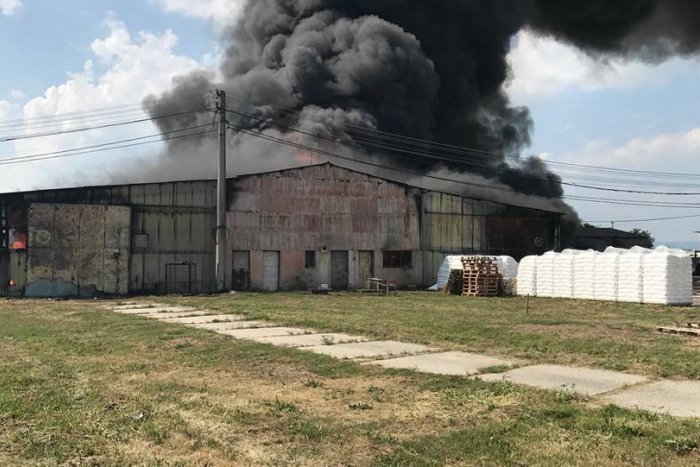 Ilustračný obrázok k článku Neďaleko Bratislavy vypukol obrovský požiar. Na mieste zasahujú desiatky hasičov