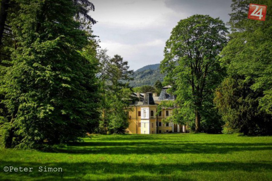 Ilustračný obrázok k článku Časti parku budú priebežne uzatvárať: Pripravuje sa zdravotná prebierka chorých a poškodených stromov