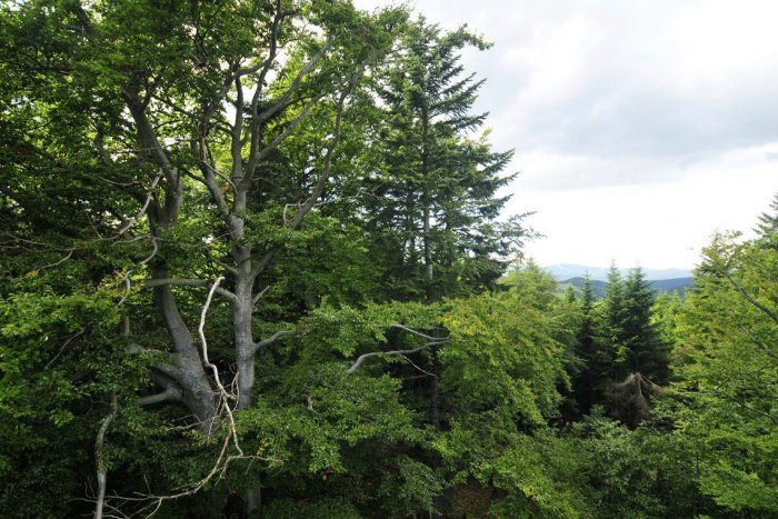 Ilustračný obrázok k článku Budíček páni, na Mnícháči ide o viac