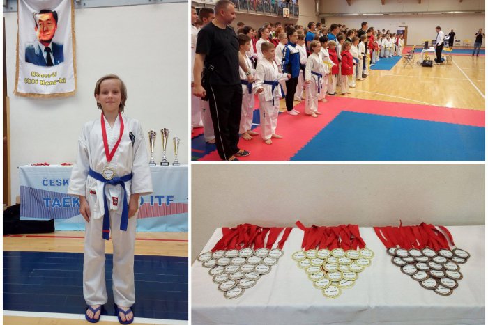 Ilustračný obrázok k článku Parádny úspech trnavskej taekwondistky: Alexandra (10) sa môže tešiť zo zlata