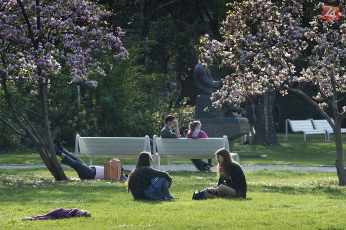 Ilustračný obrázok k článku Vrhnite sa na literatúru v objatí zelene! Otvoria letnú čítáreň v Medickej záhrade