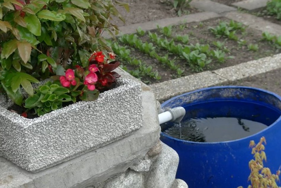 Ilustračný obrázok k článku Dažďová záhrada - novodobý trend: Poprad pripravuje zaujímavý projekt