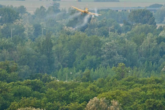 Ilustračný obrázok k článku Na Záhorí pozor! Postrekovať proti komárom začnú už dnes