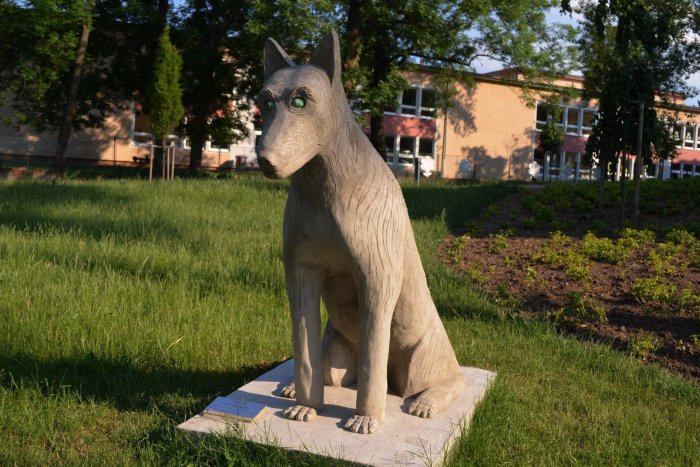 Ilustračný obrázok k článku Rodáčka z Mojmíroviec zachránila viac ako 100-ročné príbehy: Počuli ste o Plešťákoch?