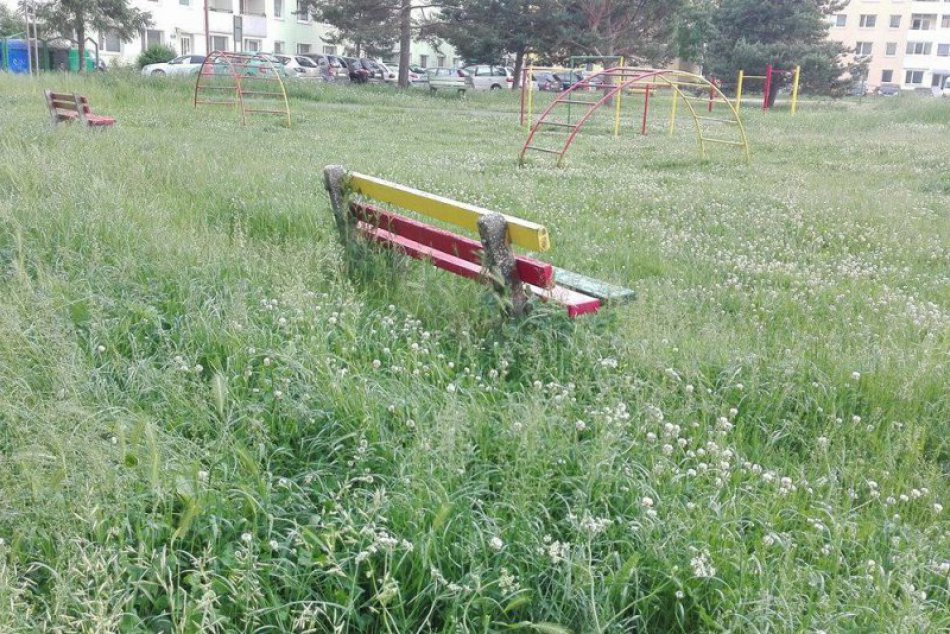 Ilustračný obrázok k článku FOTO: Sídlisko Mier ľuďom miestami pripomína džungľu. Kompetentní žiadajú o pochopenie