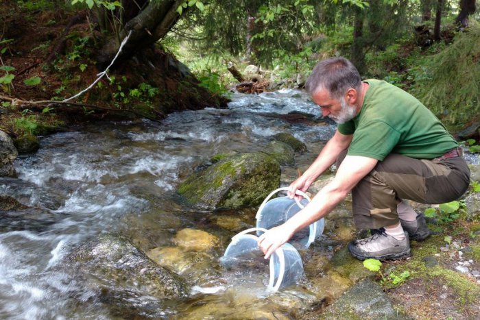 Ilustračný obrázok k článku V tatranských tokoch pribudol nový život: Živé potoky a bystriny plné rýb